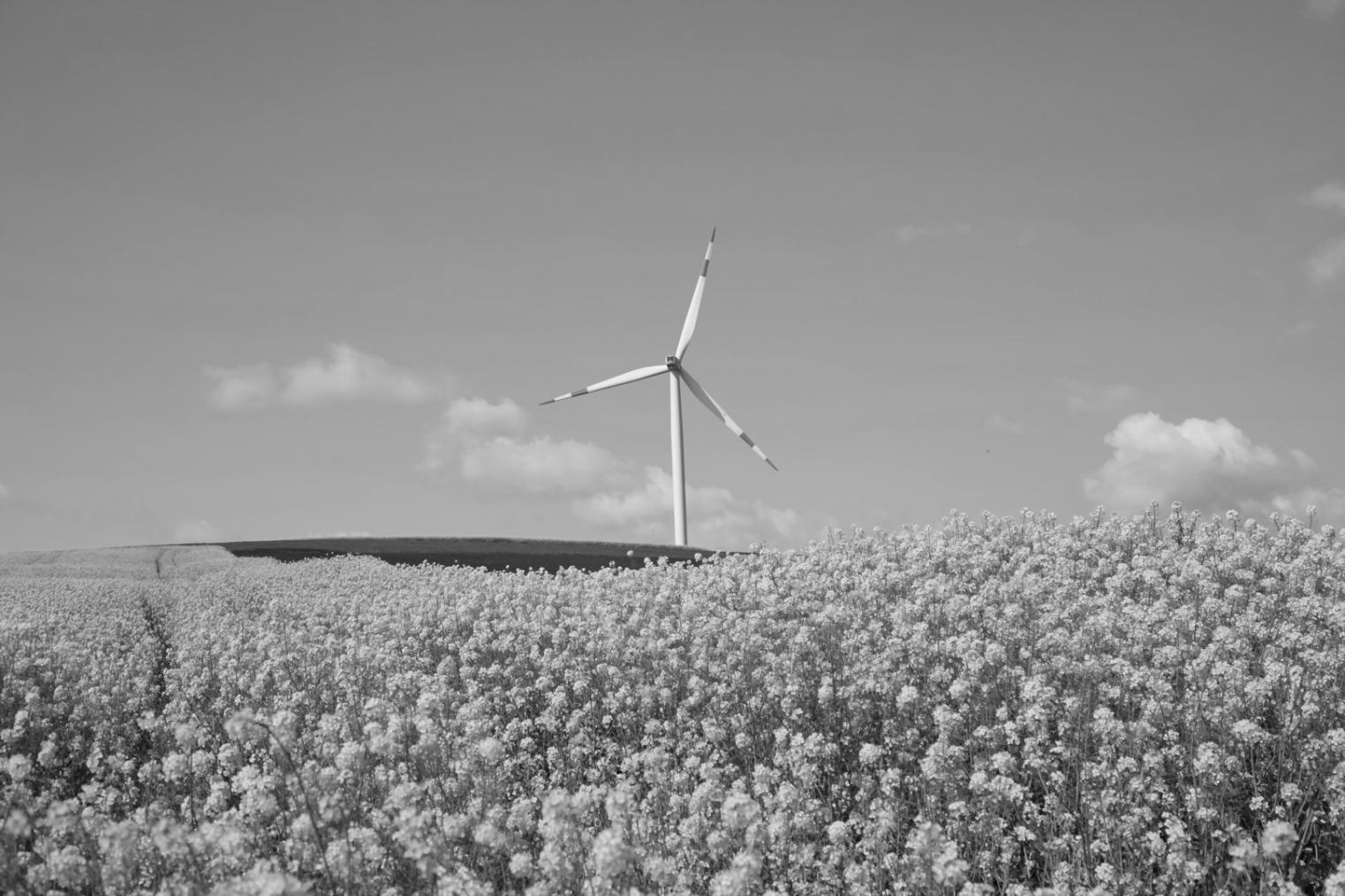 Session d'étude interactive en ligne sur les piles à combustible